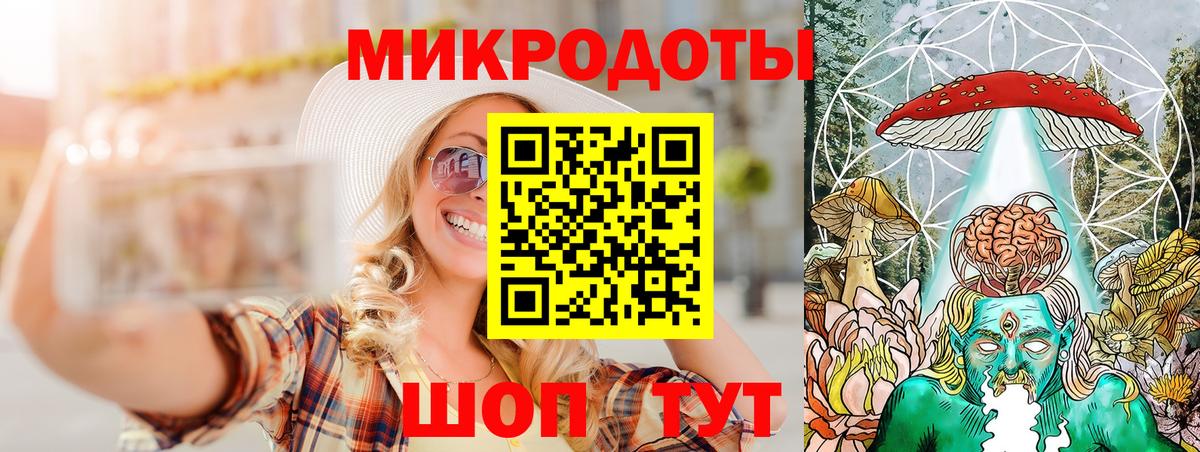 Галлюциногенные грибы Psilocybe Серпухов