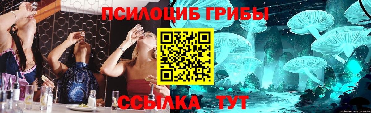 Серпухов  Псилоцибиновые грибы ЛСД  Вход с VPN 